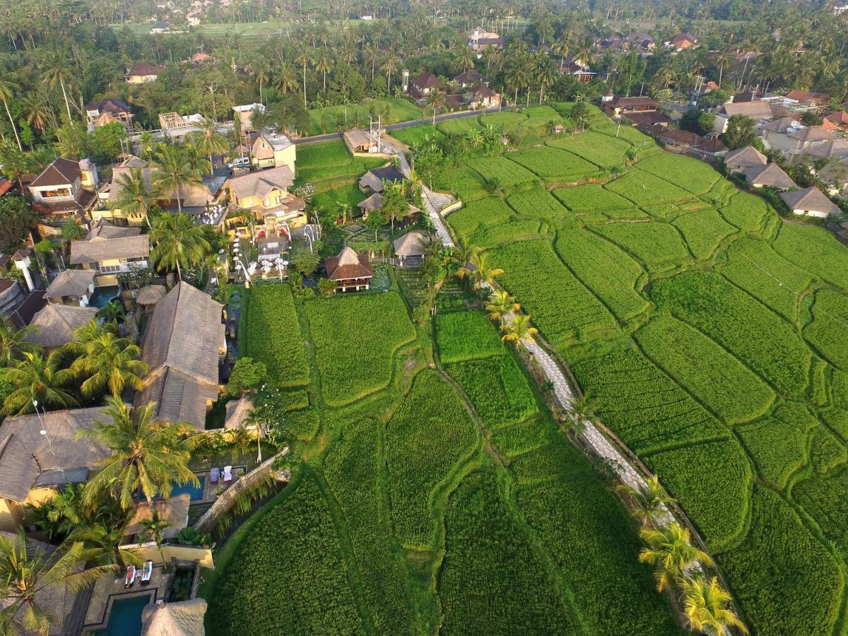 Wapa di Ume Ubud