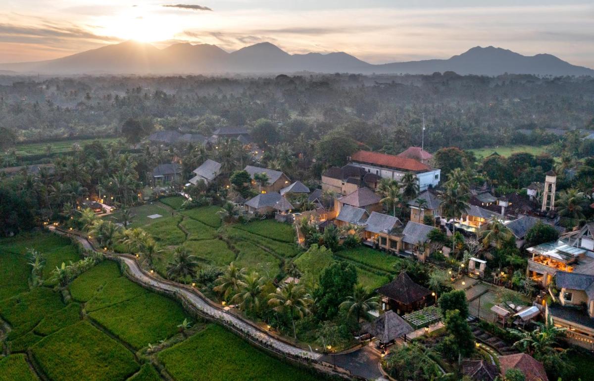 Wapa di Ume Ubud