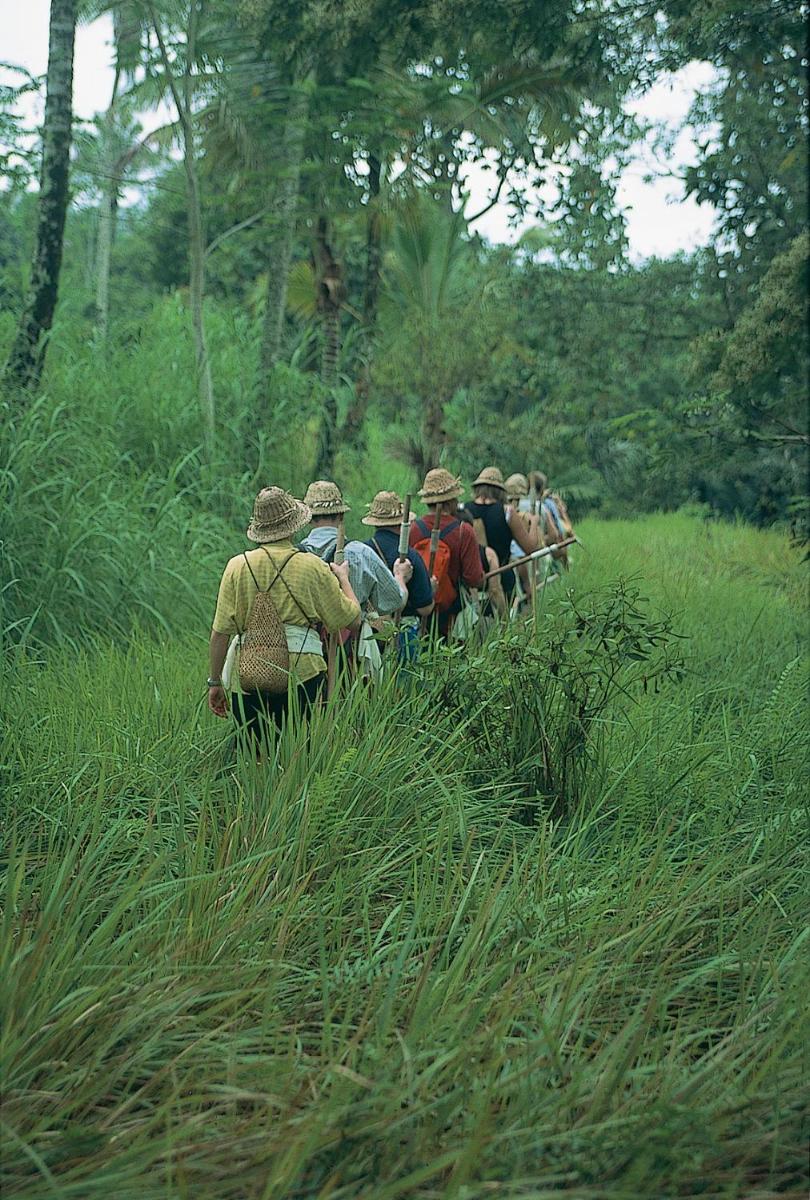 Wapa di Ume Ubud