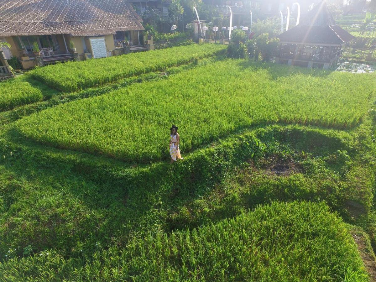 Wapa di Ume Ubud