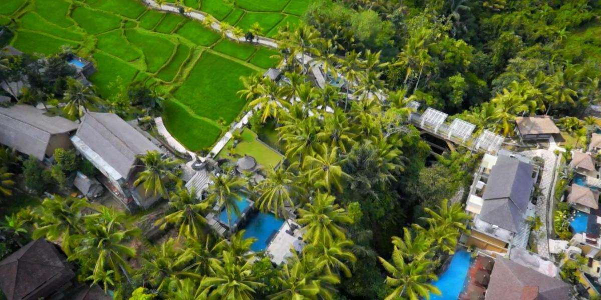 Wapa di Ume Ubud