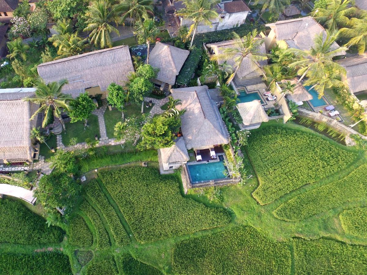 Wapa di Ume Ubud