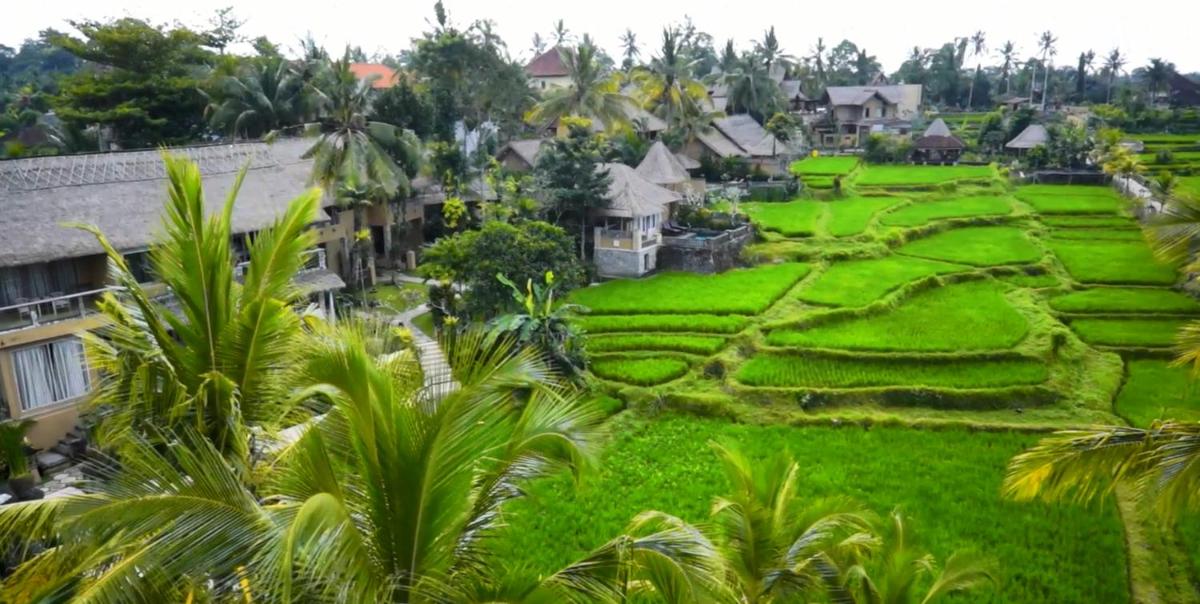 Wapa di Ume Ubud