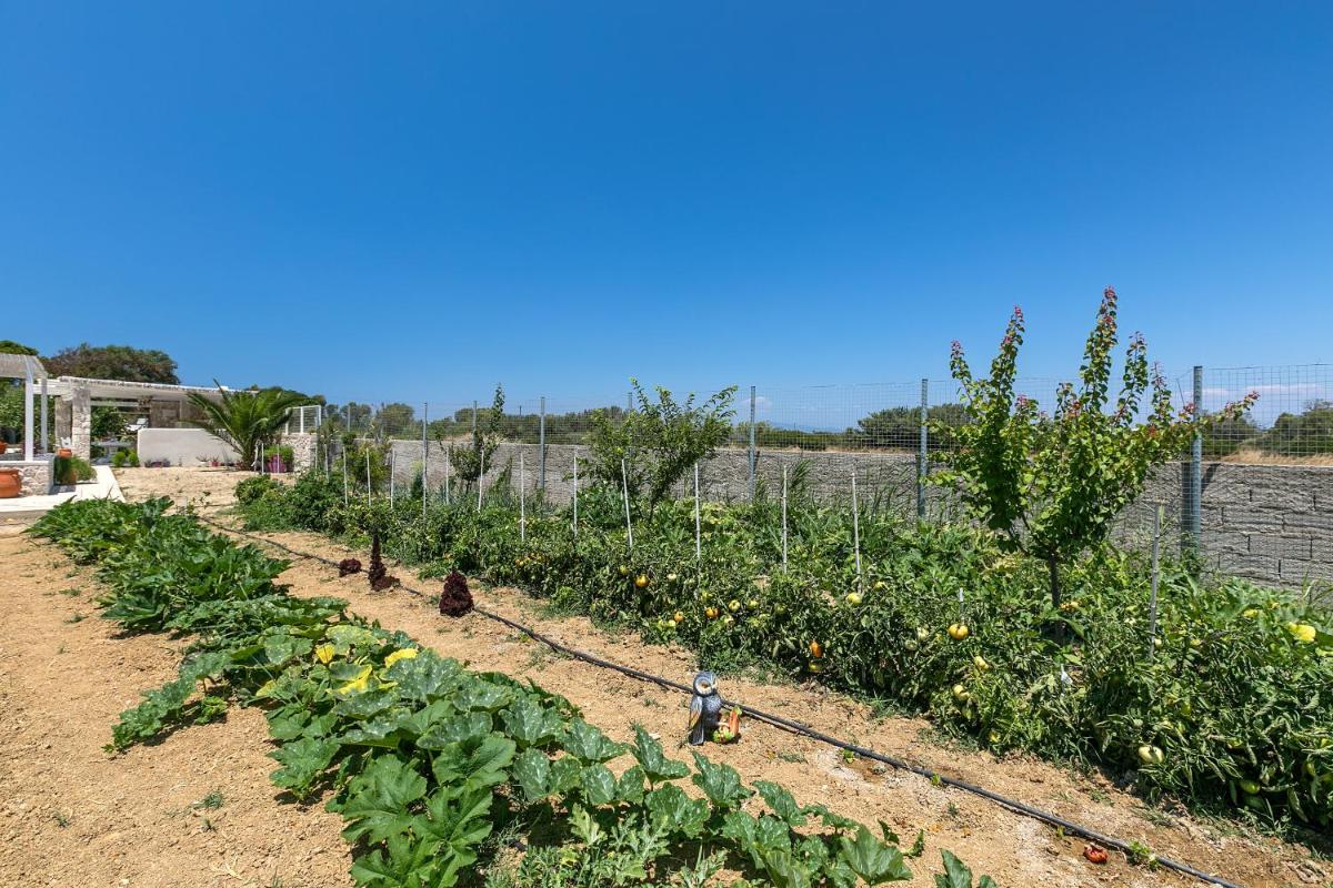 White Pearls-Adults Only Luxury Suites