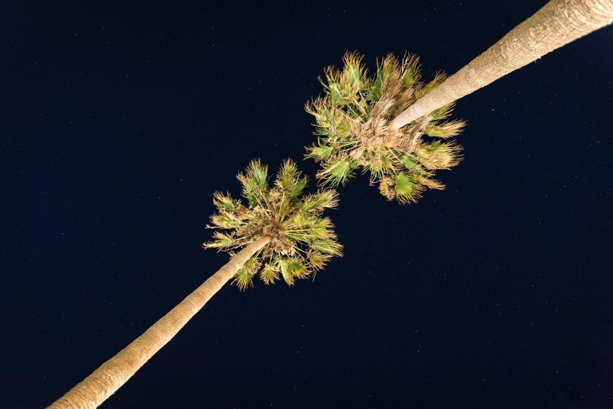 White Pearls-Adults Only Luxury Suites