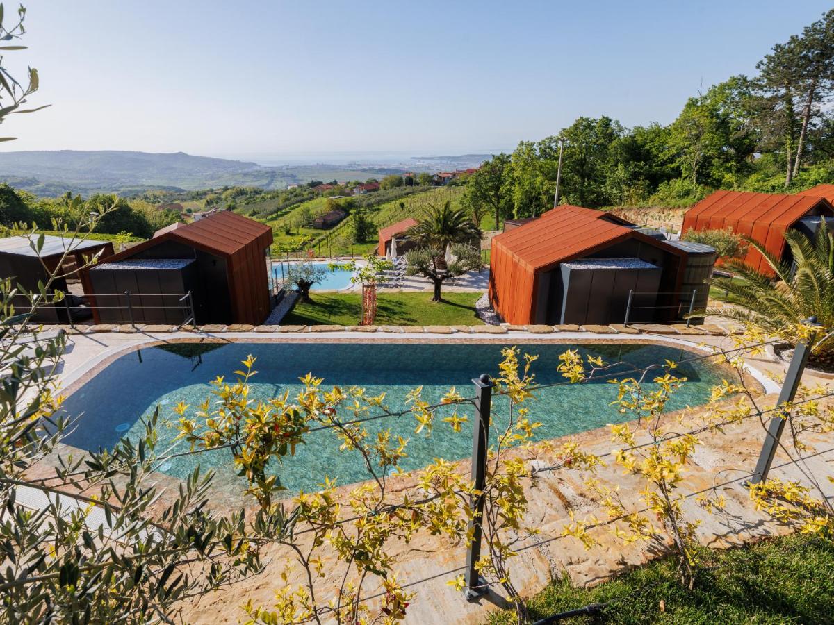 Wine Paradise - Glamping resort