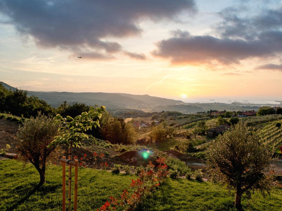 Wine Paradise - Glamping resort