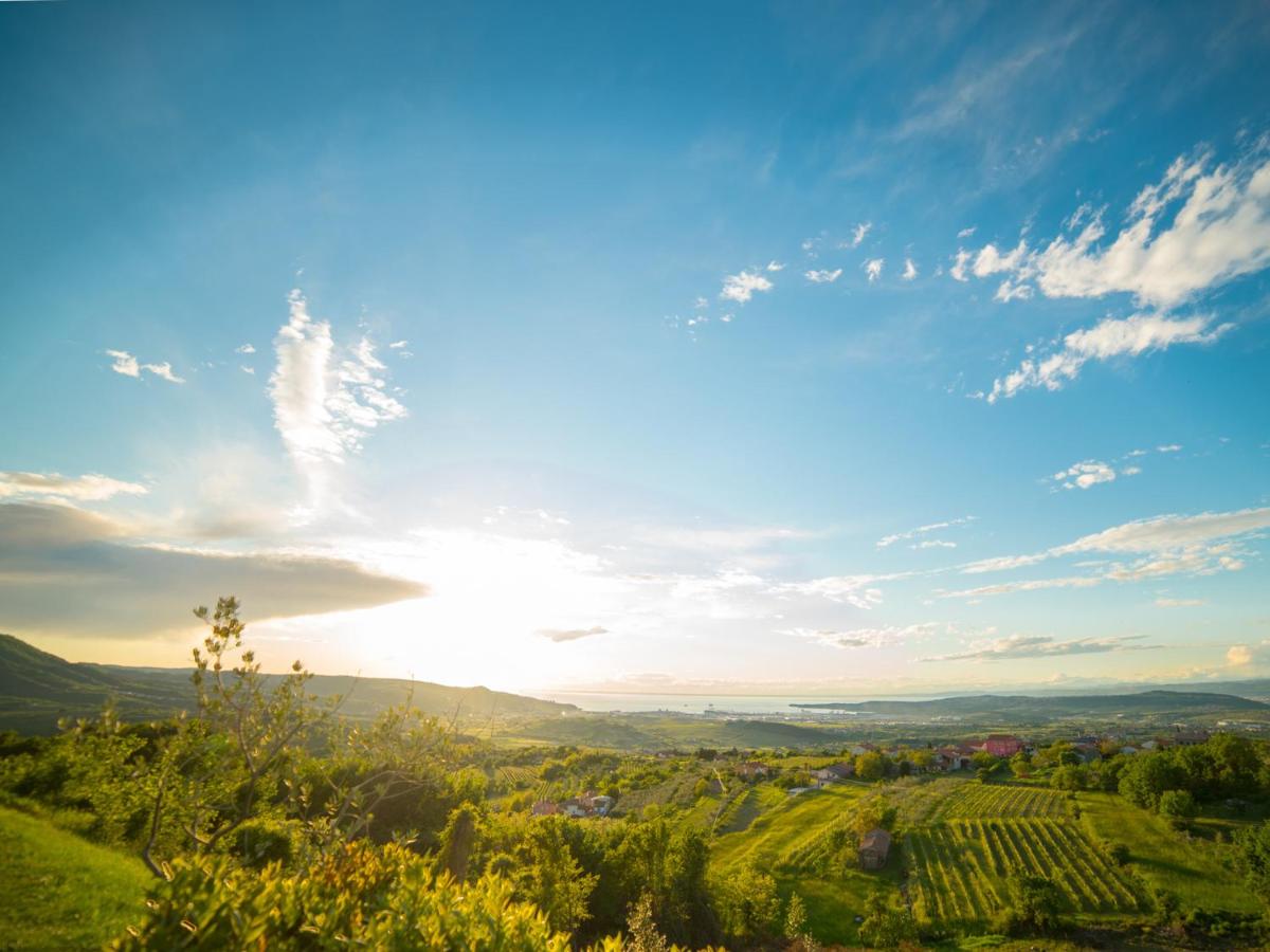 Wine Paradise - Glamping resort