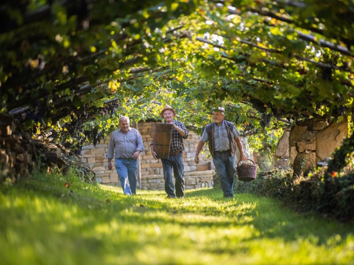 Wine Paradise - Glamping resort