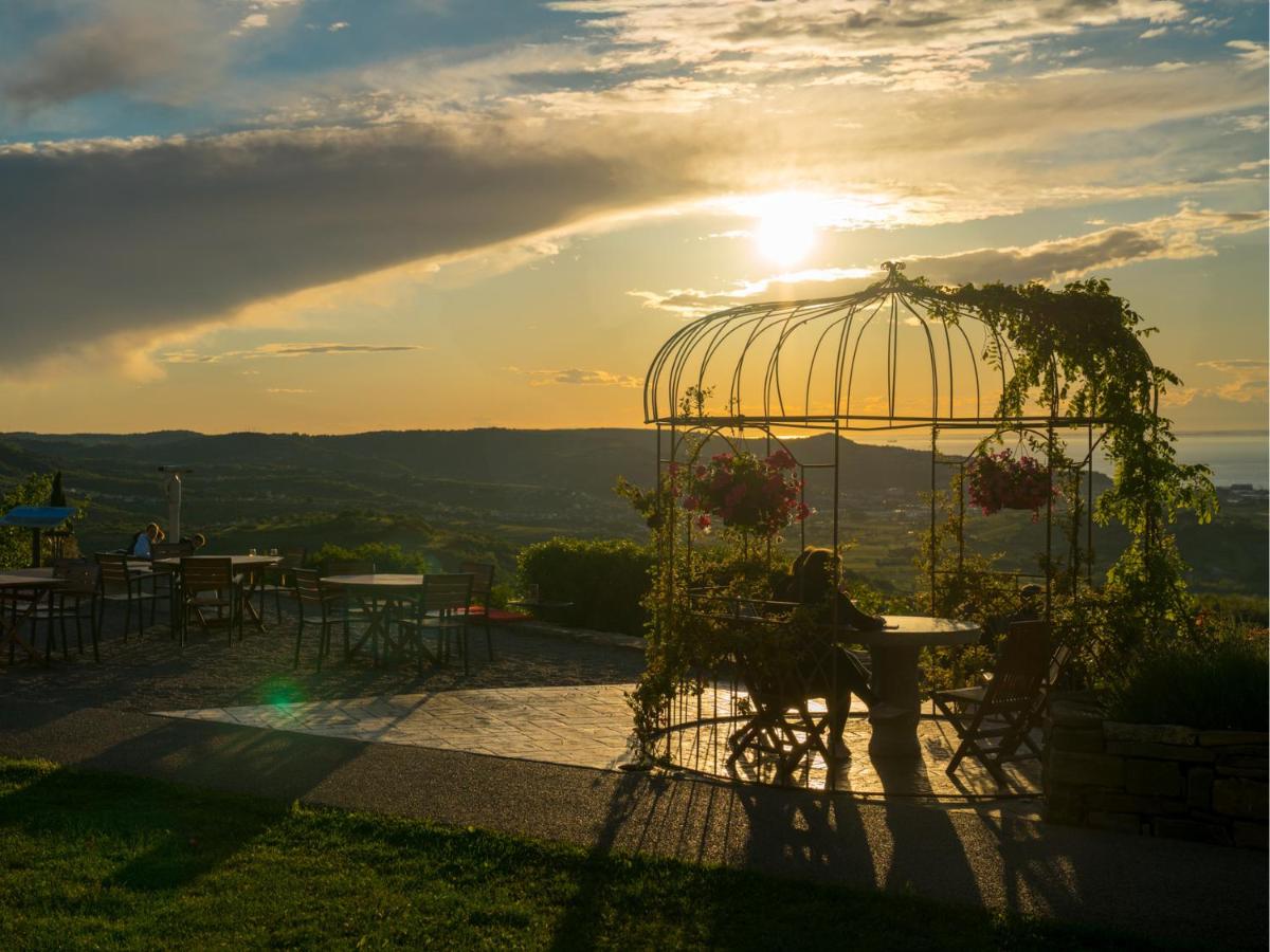 Wine Paradise - Glamping resort