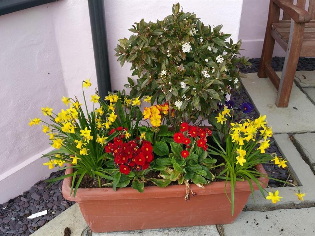 Y Garth Luxury Bed and Breakfast