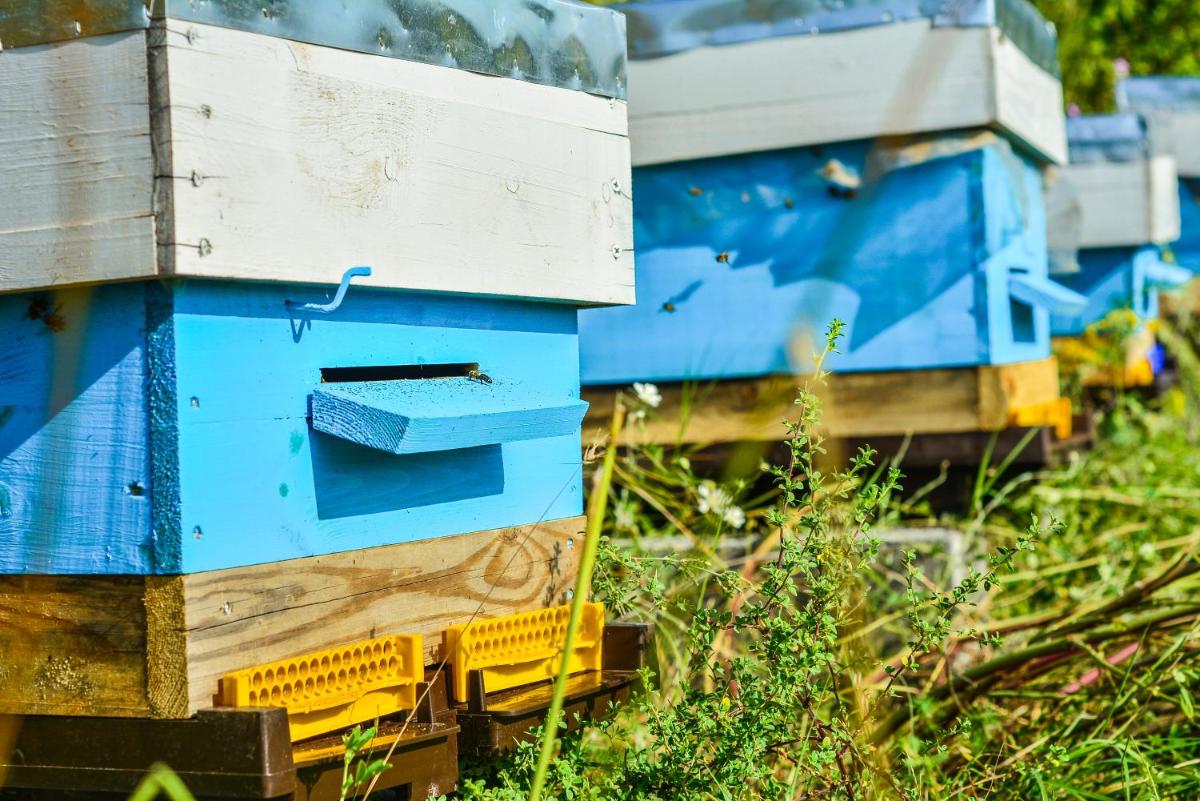 Zornitza Family Estate Relais & Chateaux