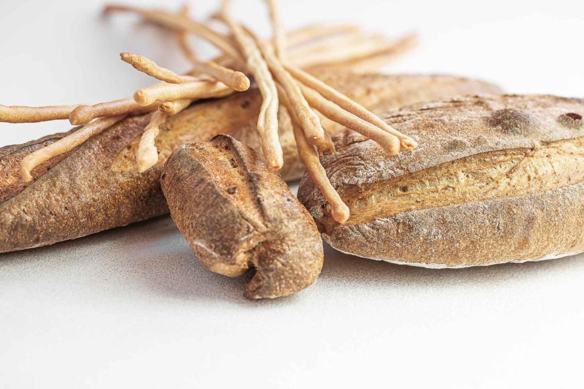 Zunica Ospitalità dal 1880