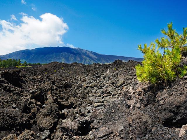 Linguaglossa - Etna