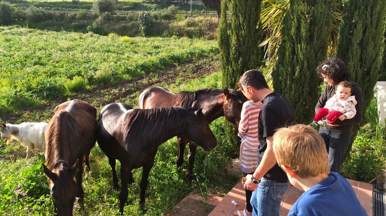 Agriturismo Vecchia Masseria