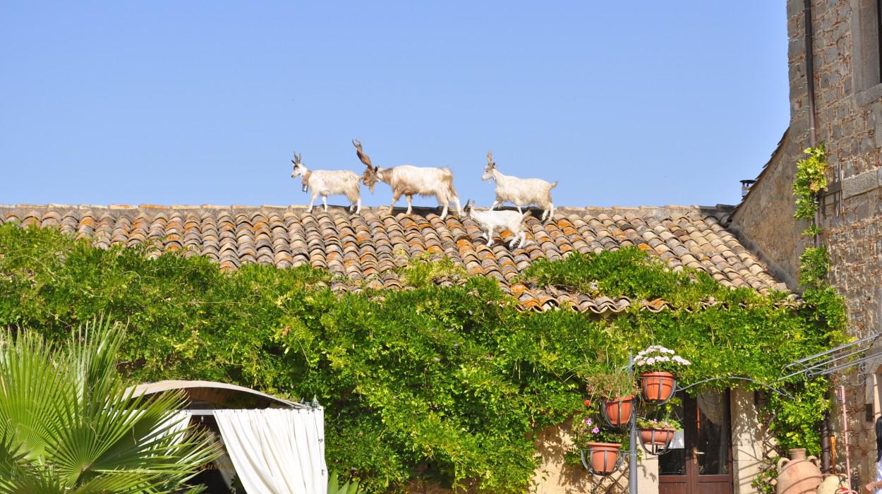 Agriturismo Vecchia Masseria