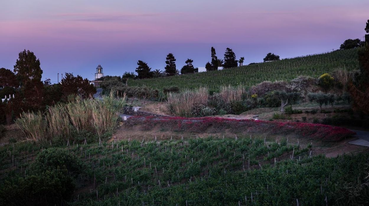 Capofaro Locanda & Malvasia