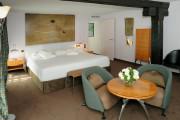 Hotel & Spa REGENT PETITE FRANCE