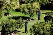 La Mamounia