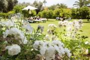 La Mamounia