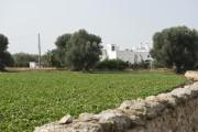 Masseria Don Luigi-Luxury Farmhouse