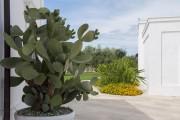Masseria Don Luigi-Luxury Farmhouse