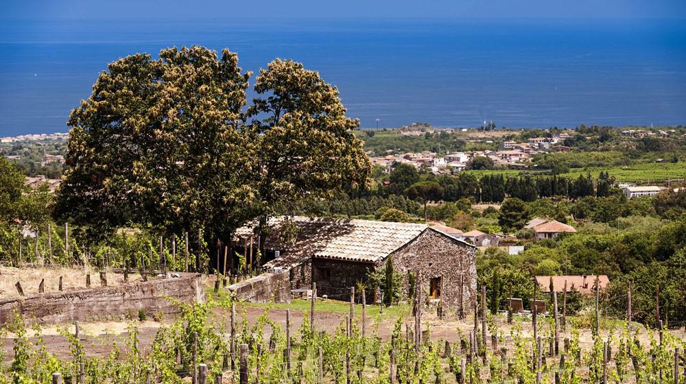 Monaci delle Terre Nere