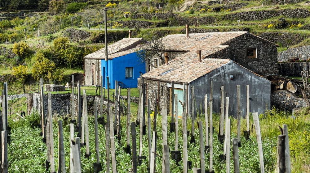 Monaci delle Terre Nere