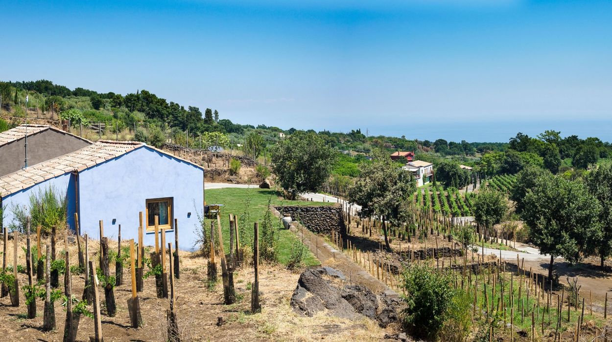 Monaci delle Terre Nere