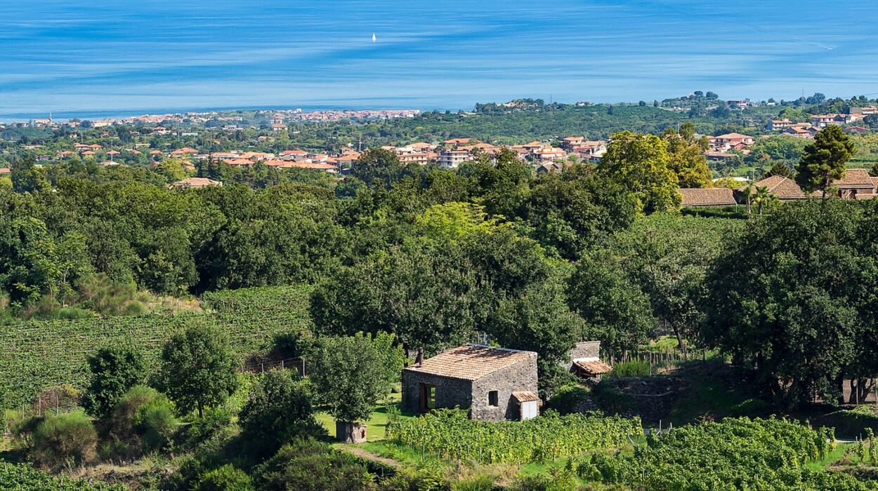 Monaci delle Terre Nere