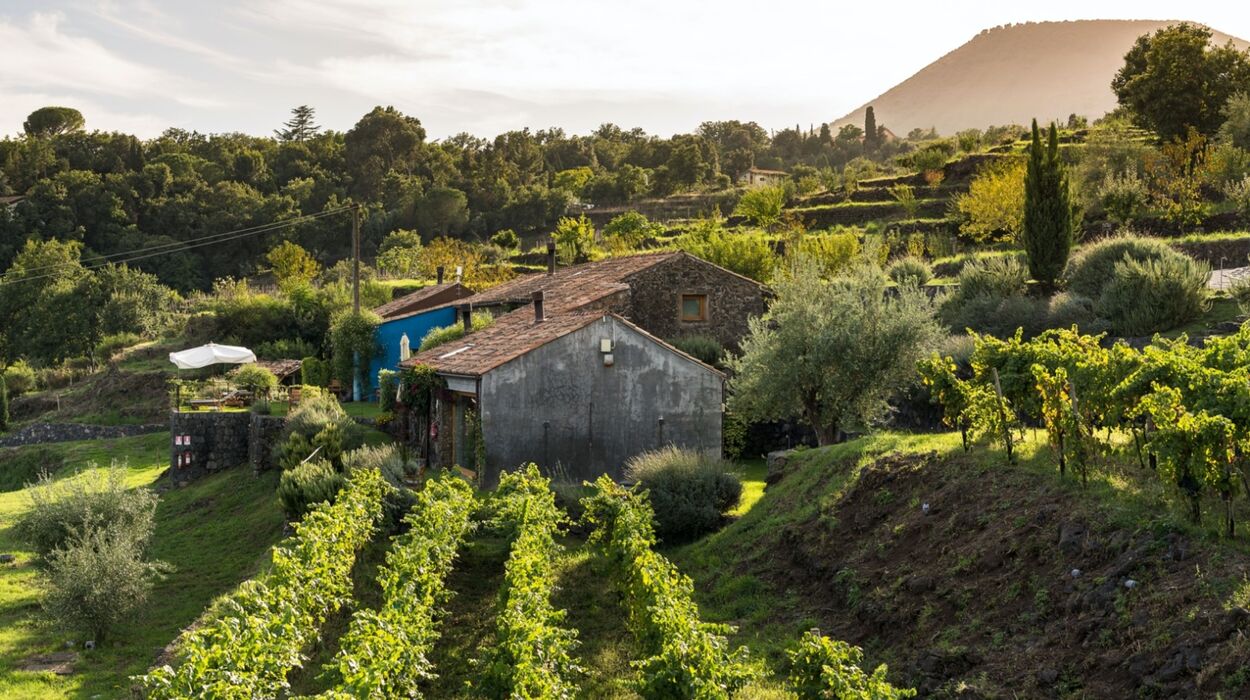 Monaci delle Terre Nere