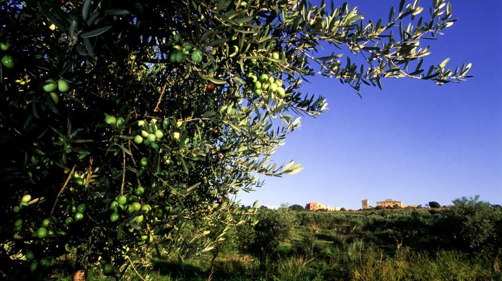 Hotel Baglio Oneto dei Principi di San Lorenzo - Resort and Wines