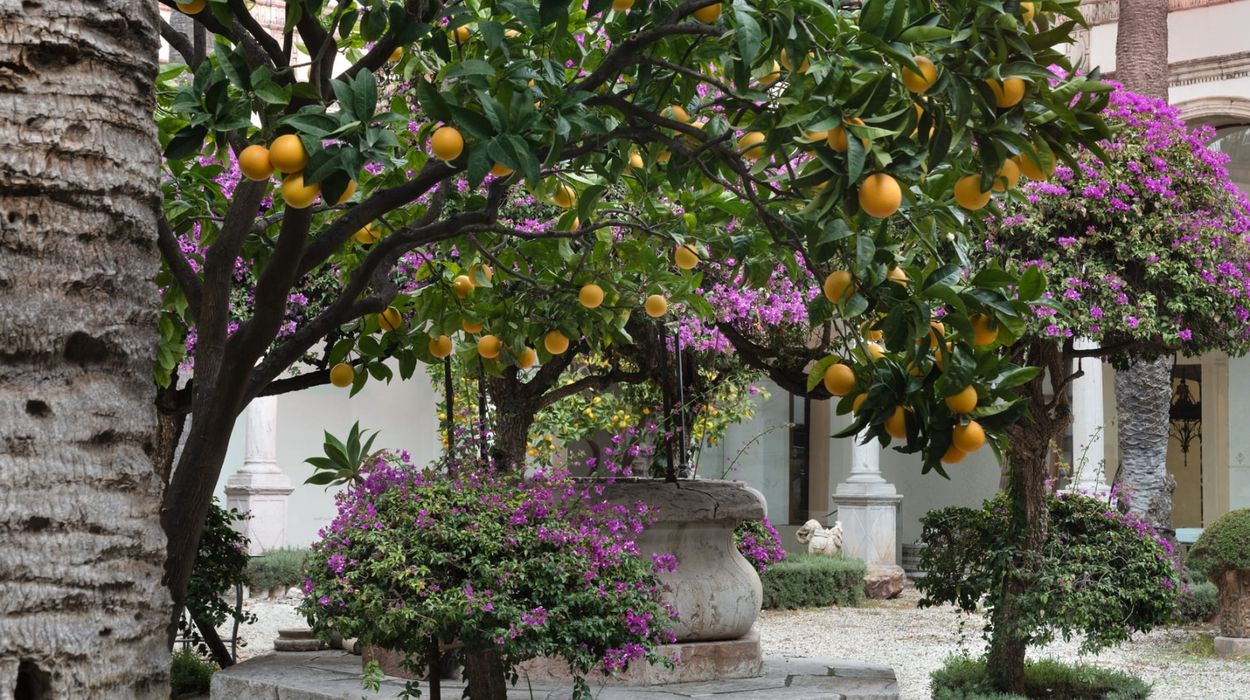 San Domenico Palace, Taormina, A Four Seasons Hotel